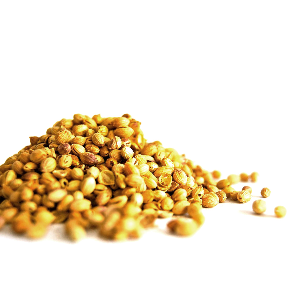 Coriander Seed