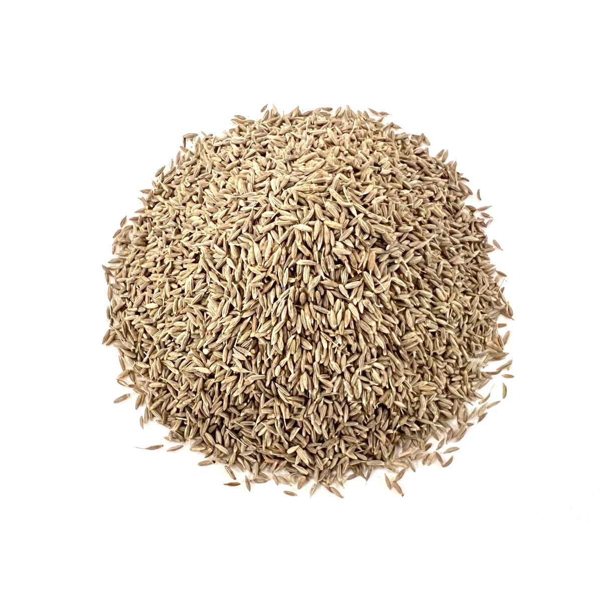 Cumin Seed