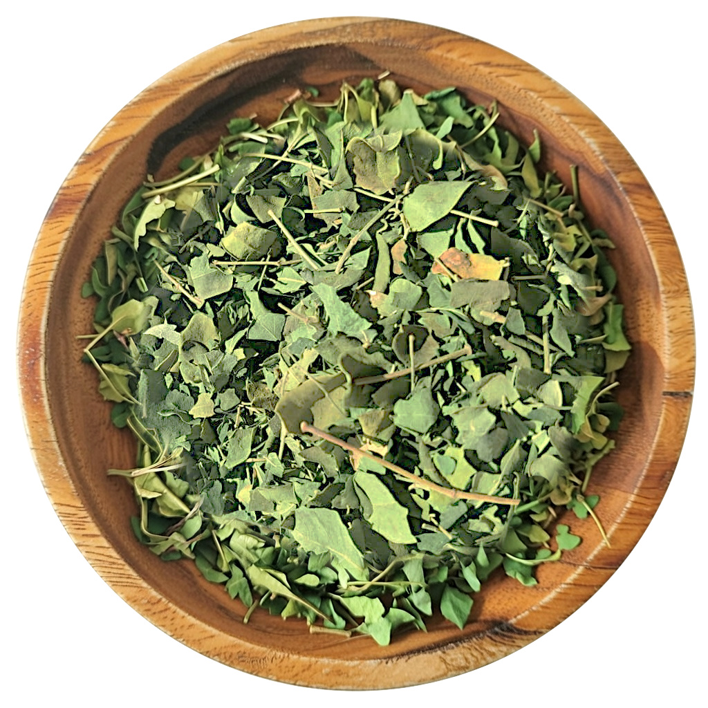 Dried Gymnema Leaves