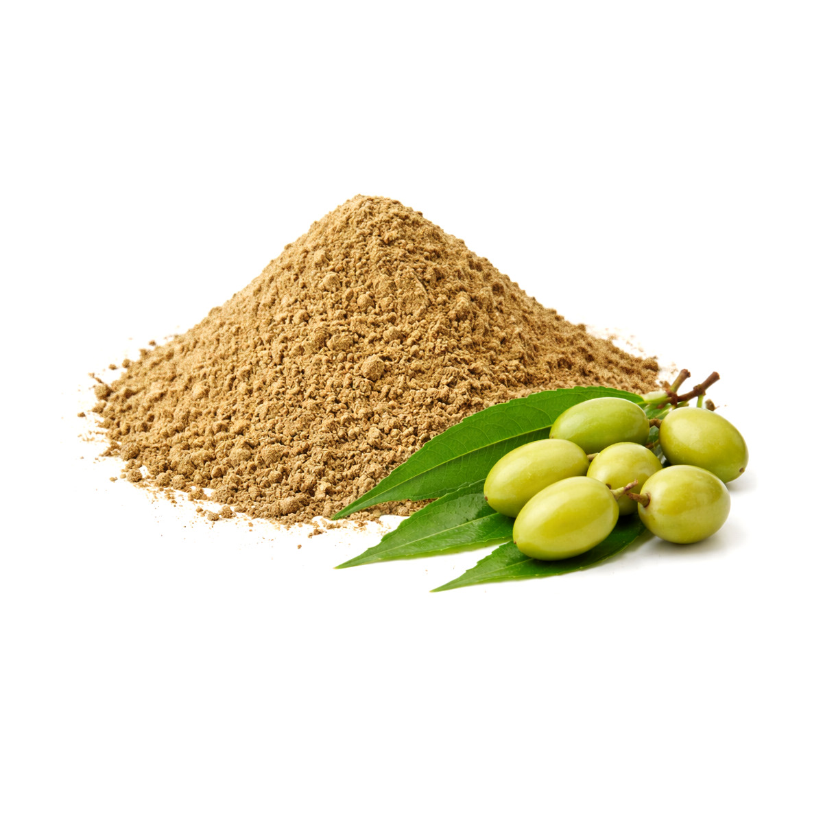 Neem Seed Powder